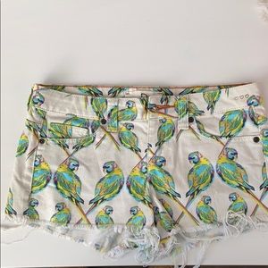 Parrot shorts
